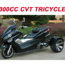 Quad Bike 300cc with EEC(MC-392)